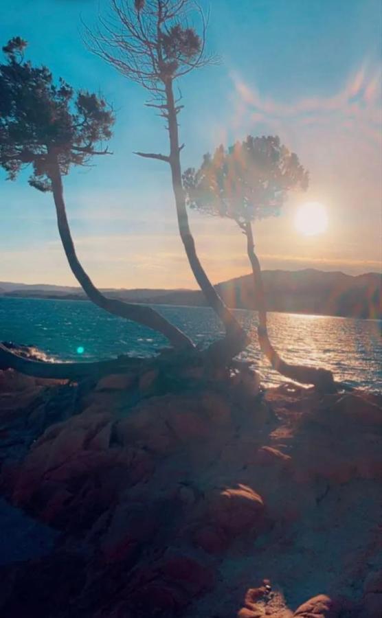 Palombaggia Location I Pini Porto Vecchio Hotell Exteriör bild